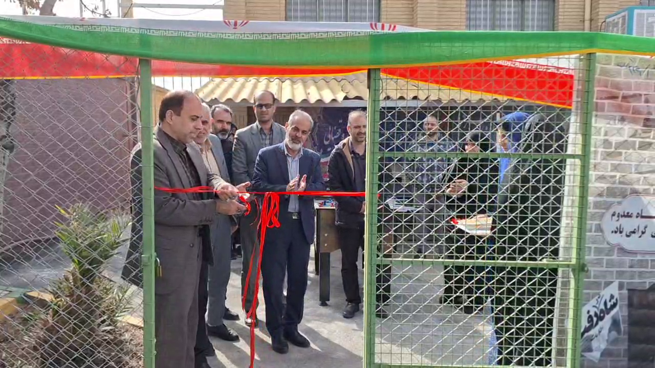 زمین چمن مصنوعی ۳ مدرسه در قم افتتاح شد زمین چمن مصنوعی ۳ مدرسه در قم افتتاح شد