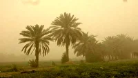 وزش تندباد‌ها و برخاستن گردوغبار محلی موضوع هشدار هواشناسی