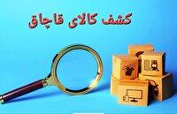 کشف کالای قاچاق ۶۰۰ میلیون تومانی در دنا