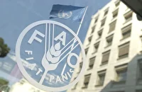گزارش فائو درباره افزایش قیمت جهانی غذا