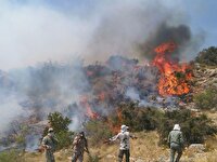 دست آتش از منطقه جنگلی چهاردِه خوزستان قطع شد